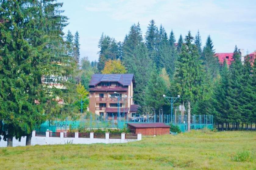 Affittacamere Pensiunea Zimbrul *