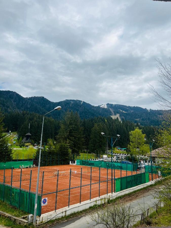 Maison d'hôtes Pensiunea Zimbrul Poiana Brasov